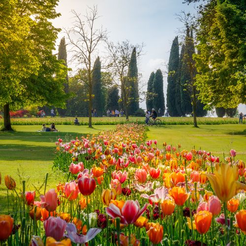 Domeniche insieme (Spazio Neui)